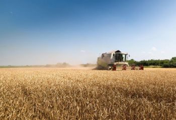 Уборка зерновых культур. Технологии и способы